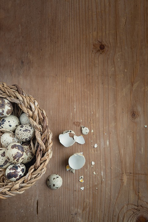 quail-eggs-1235601_960_720